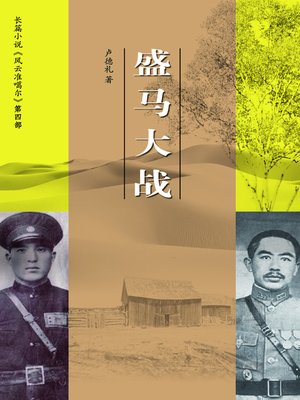 cover image of 风云准噶尔4盛马大战